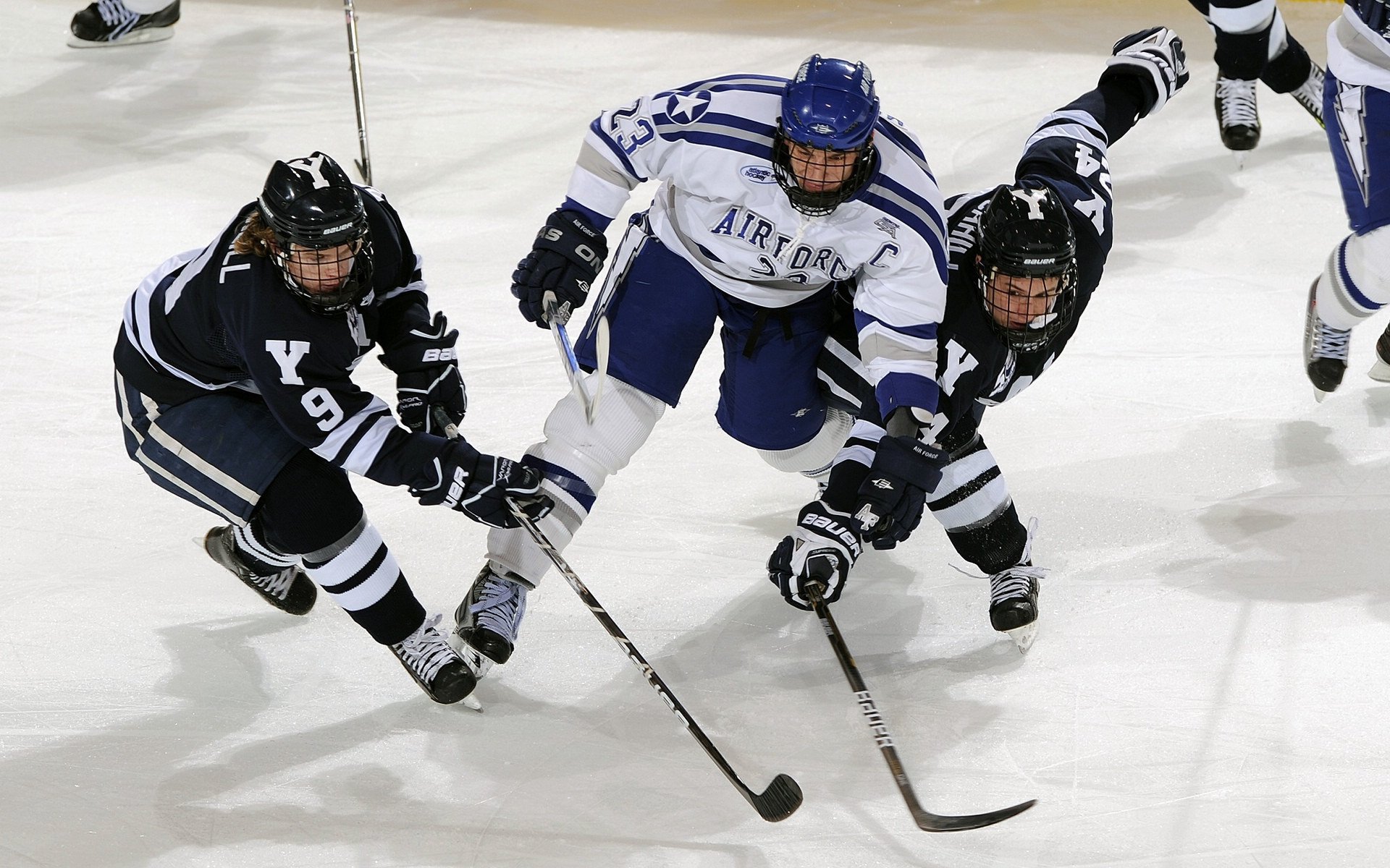 体育场馆数字化管理,体育场馆信息化